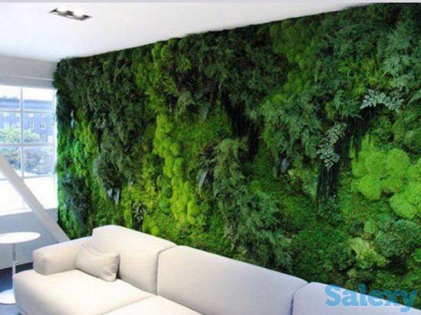 Озеленение интерьеров, фотография 5