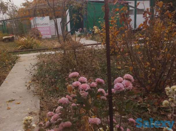 Продам дачный участок с летним домиком, Алматинская область, Каскеленский район, фотография 2