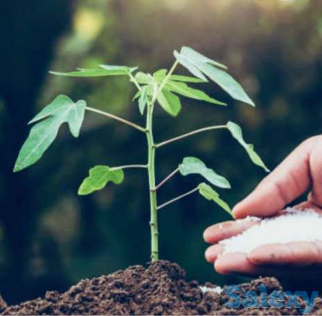 Нитросульфат NS 26-13 Селитра аммиачная с серой, фотография 1