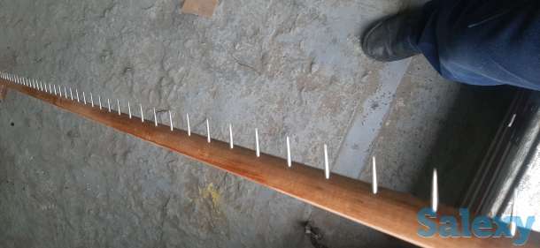 Планка колковая, фотография 2