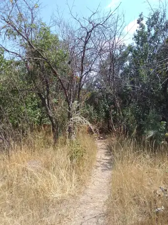 Продам землю, Алтын орда, фотография 2