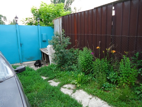 Продам полдома в Талгаре,в районе пром.комбината., ул.Мичурина 21а, фотография 9