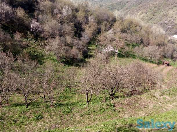 Продажа, Мкр Сулусай, фотография 1