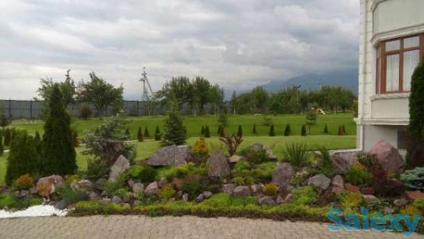 ремонт восстановление газона, фотография 6