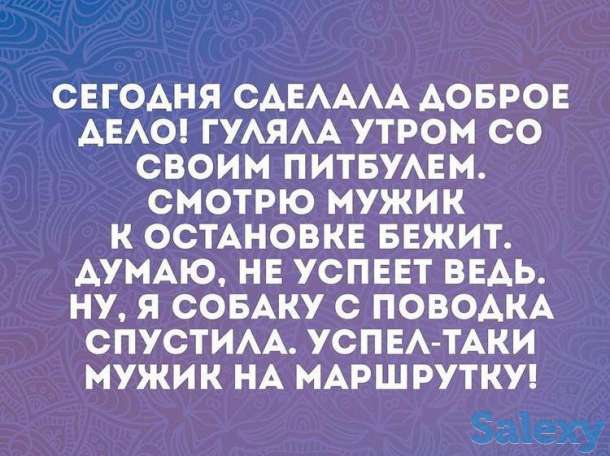 Продаю оптом зелень и овощи, фотография 2