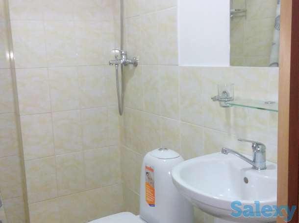 1-комнатная помесячно за 80 000 ₸ Алматы, Бостандыкский р-н, мкр Коктем-1, Байтурсвнова — Габдуллина, фотография 3