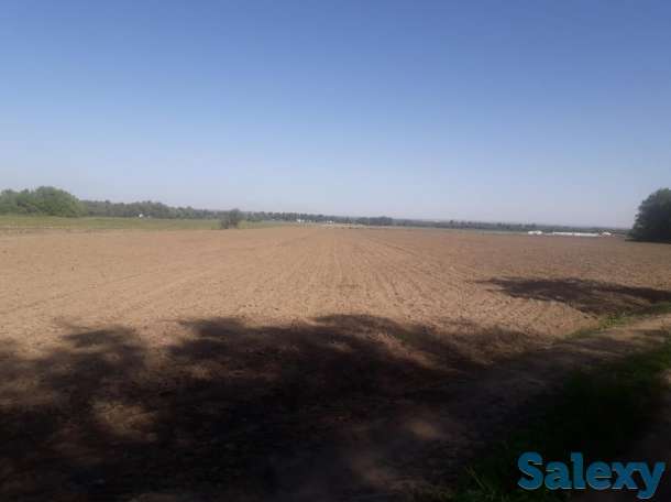 Продам участок га, Алматинская обл., р/н., Белбулак, фотография 6