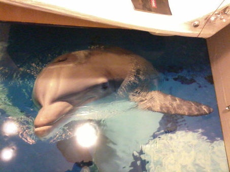 3 D,декоративные и промышленные эпоксидные наливные полы, фотография 1