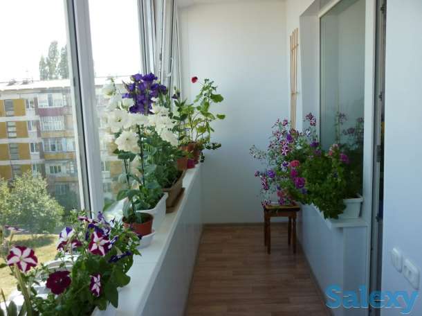 Продам 3х комнатную квартиру, ул. Сандрегайло, фотография 6