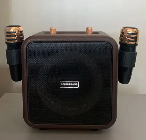 Колонка музыкальная беспроводная с караоке, фотография 2