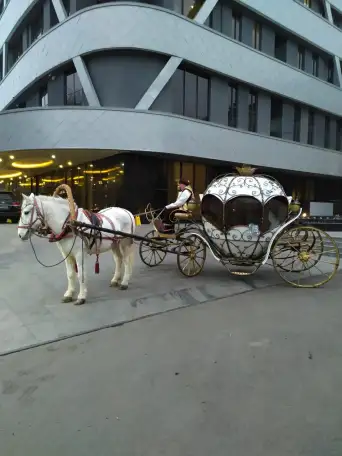 аренда кареты, фотография 8