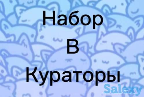 Куратор в онлайн школу, фотография 1