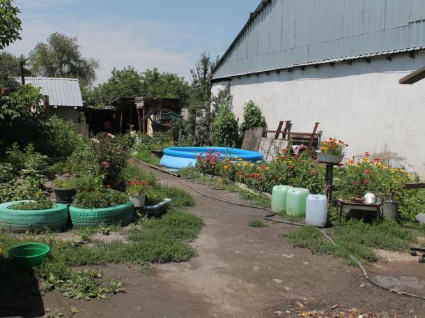 срочно продам дом , фотография 2