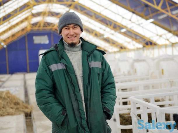 Работа в Германии, фотография 2