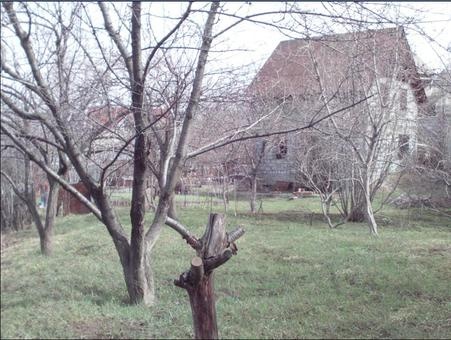 Продам участок в Баганашиле, фотография 4