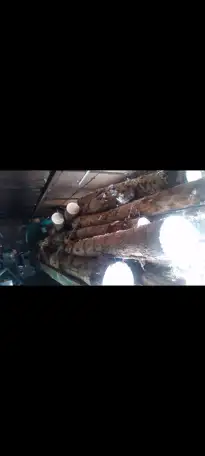 Продам дрова куб 15к доставка бесплатная чурками ЗИЛ КАМАЗ  работа 247, фотография 1