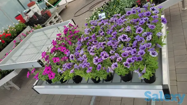 Вегетационные столы для выращивания рассады, фотография 4