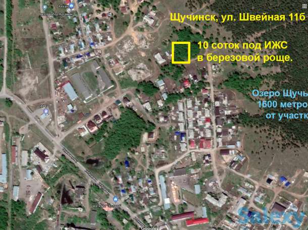 Продам элитный участок в березовой роще в г. Щучинск, фотография 3