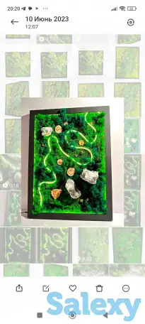 Картина из стабилизированного мха, фотография 2