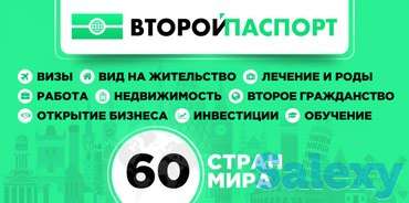 Франшиза компании 