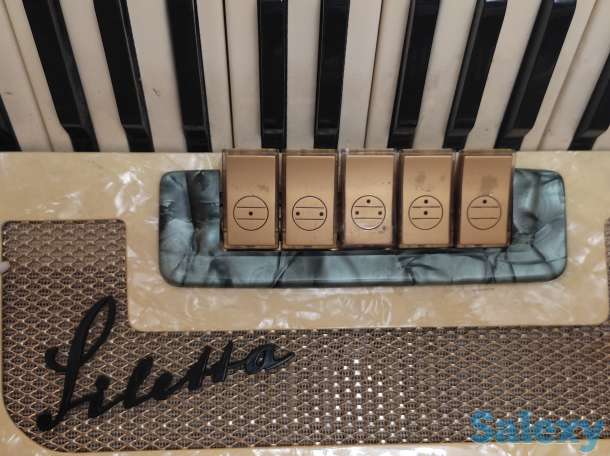 Немецкий Раритетный Аккордеон - «Siletta», фотография 3