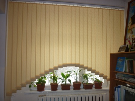 жалюзи шторы, фотография 9