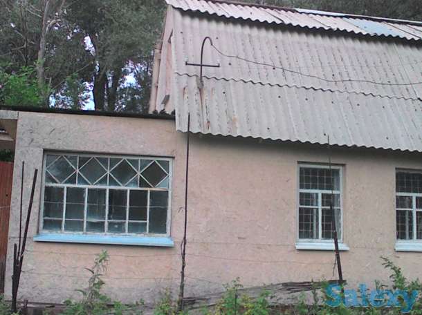 продать дачу, гавань, кооператив коммунальник, фотография 2