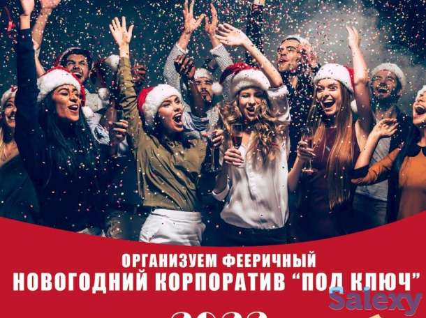 Дед мороз и снегурочка на дом, фотография 6