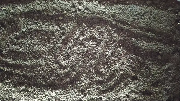 Вермикомпост - биогумус. Органическое удобрение, фотография 4