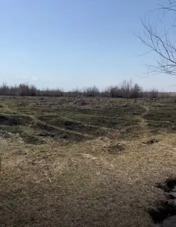 продажа земли КХ под фермерское хозяйство, Алматинская обл, пос Еламан, фотография 7