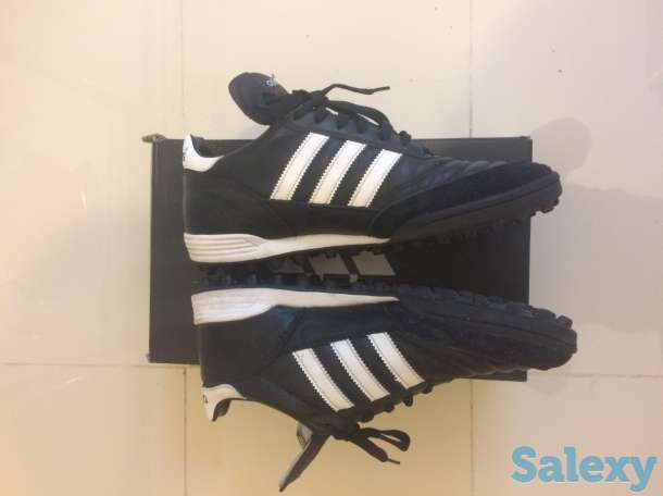 Сороконожки, фотография 1