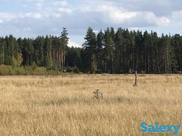 Земельный участок в  живописном месте, фотография 2