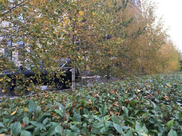 Английский язык интенсивно, фотография 2