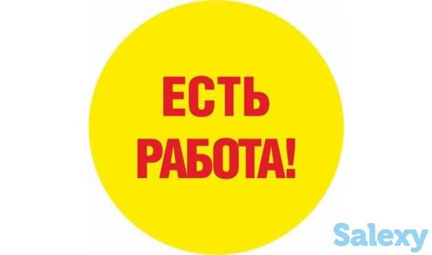 Принимаем на работу разными дипломами в офис, фотография 1