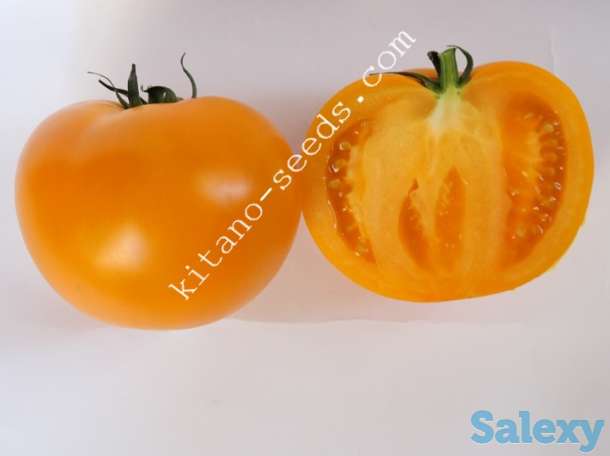 Семена желтого тепличного томата ЯМАМОТО F1, KITANO SEEDS, фотография 3