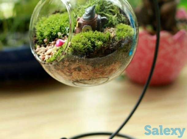 Прозрачный Стеклянный Шар Ваза., фотография 2