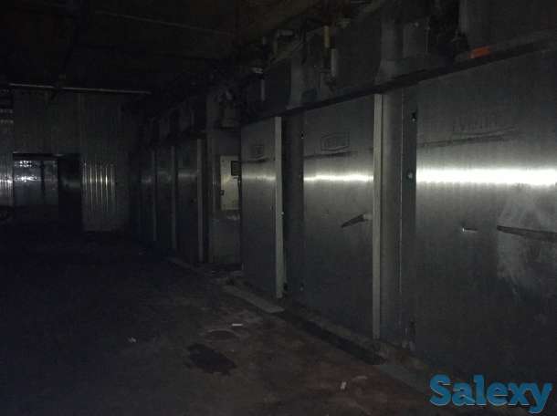 Камера горячего копчения и варки Vemag, фотография 2