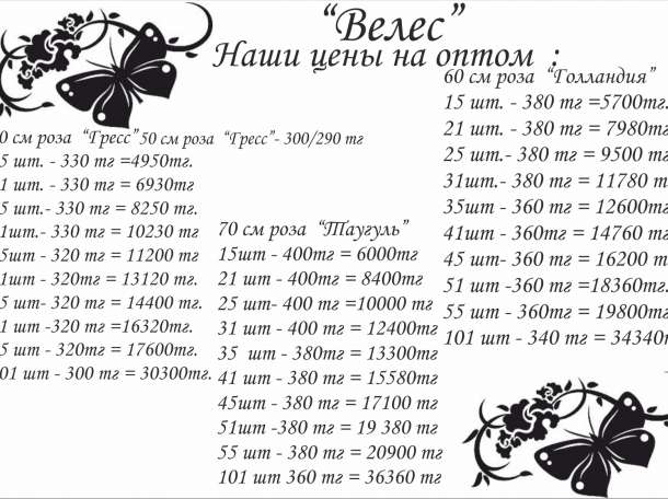 Цветочный мир 