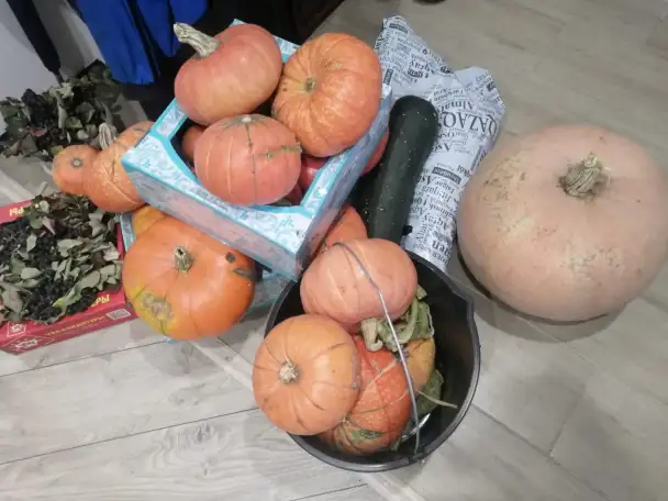 продам тыква дачная, фотография 3