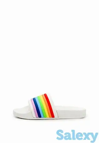 Сланцы t.taccardi, фотография 2