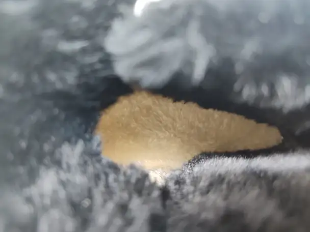 Зимняя обувь для детей, фотография 6