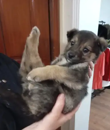 Забери меня к себе, Добрый человек, фотография 6