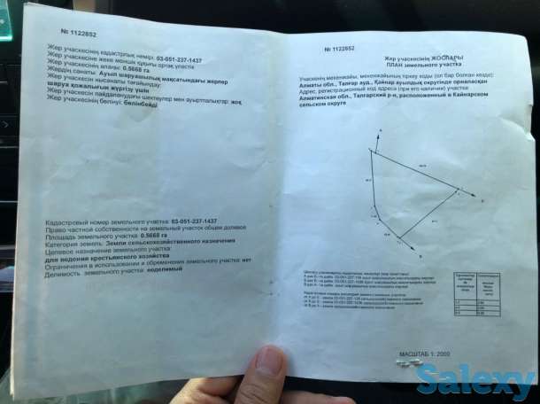 Участок в Талгаре 3,6 га, фотография 6