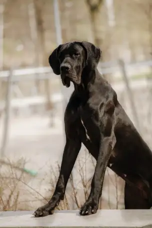 Продажа, фотография 2