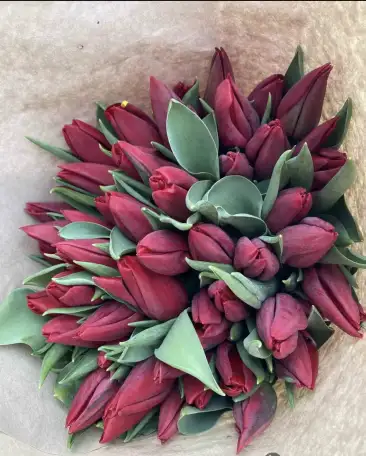 Тюльпаны премиум класса оптом к 8 марта, фотография 2