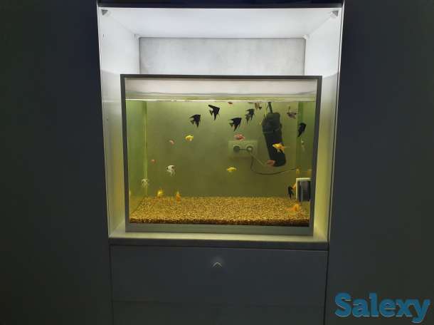 Продаю аквариум 250 литров, фотография 1
