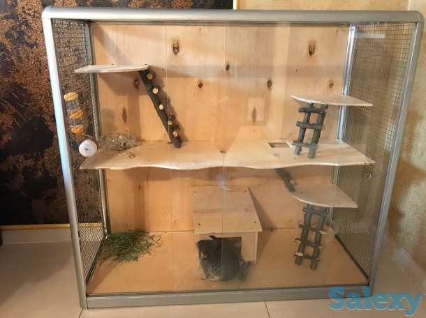 Клетки для шиншилл , белок , хорьков и прочих грызунов, фотография 6