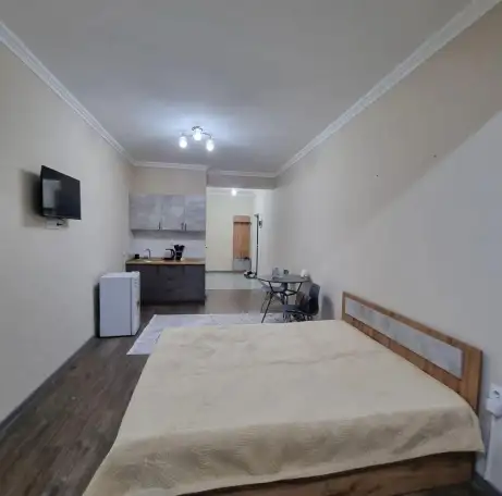 Сдам 1 комнатную квартиру посуточно в аренду, Муканова 159, фотография 2