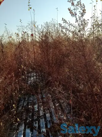 Продам профнастил бу., фотография 1