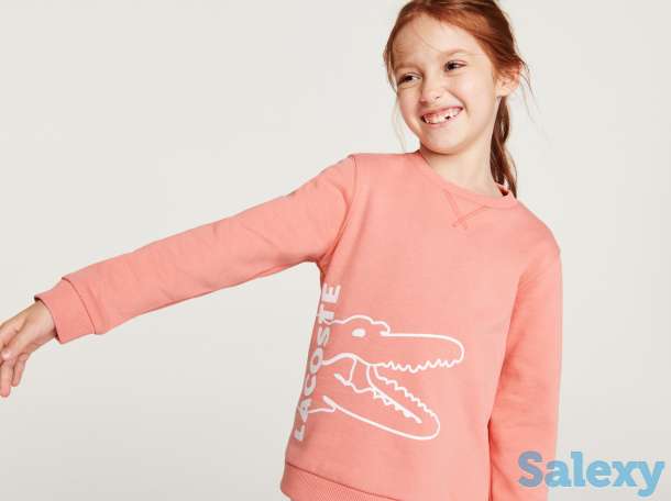 Хлопковая толстовка lacoste, фотография 3